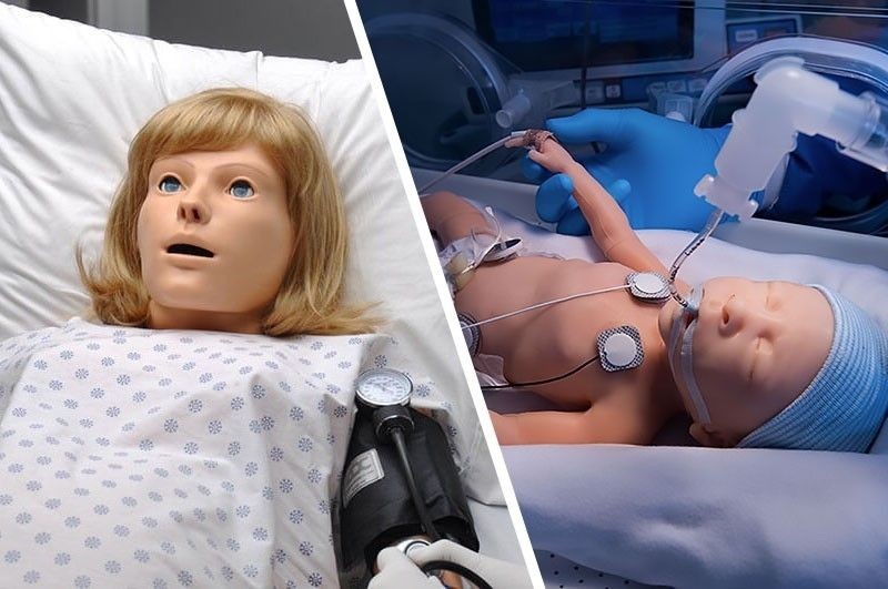 NOELLE with Premie HAL