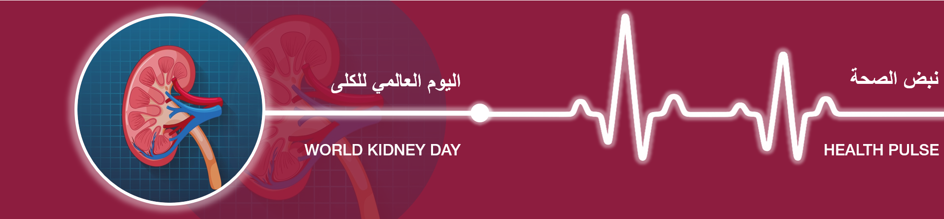World Kidney Day 12th March 2020