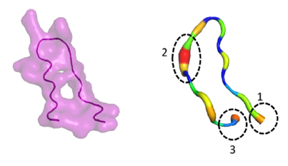 SEM image of biofilm treatment
